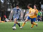 Photo from the gallery "St. Paul's @ Jesuit"