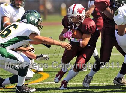 Thumbnail 3 in William Floyd @ Bay Shore photogallery.