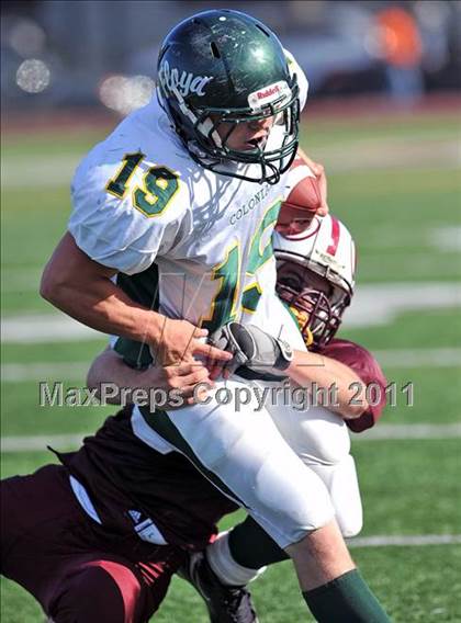 Thumbnail 1 in William Floyd @ Bay Shore photogallery.