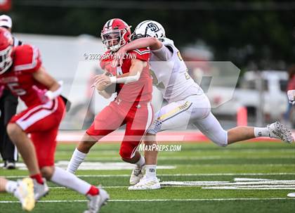 Thumbnail 3 in Soddy Daisy @ Loudon photogallery.