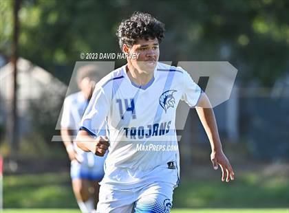 Thumbnail 3 in Thornton vs Alameda photogallery.
