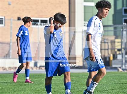 Thumbnail 2 in Thornton vs Alameda photogallery.