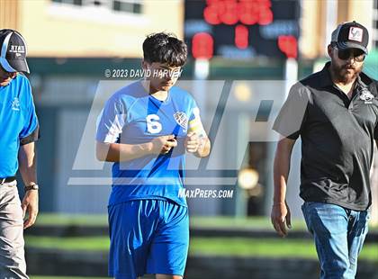 Thumbnail 2 in Thornton vs Alameda photogallery.