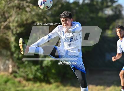 Thumbnail 2 in Thornton vs Alameda photogallery.