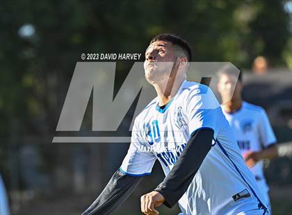 Thumbnail 3 in Thornton vs Alameda photogallery.