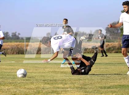 Thumbnail 2 in Gregori @ Enochs photogallery.