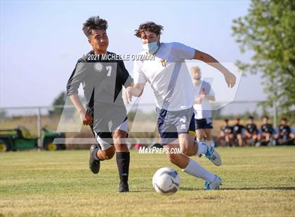 Thumbnail 2 in Gregori @ Enochs photogallery.
