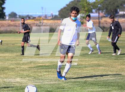 Thumbnail 1 in Gregori @ Enochs photogallery.