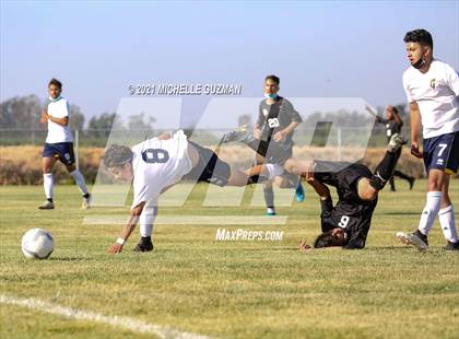 Thumbnail 3 in Gregori @ Enochs photogallery.
