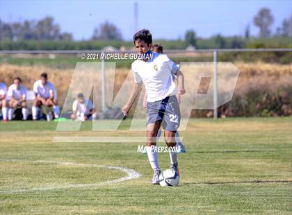 Thumbnail 2 in Gregori @ Enochs photogallery.