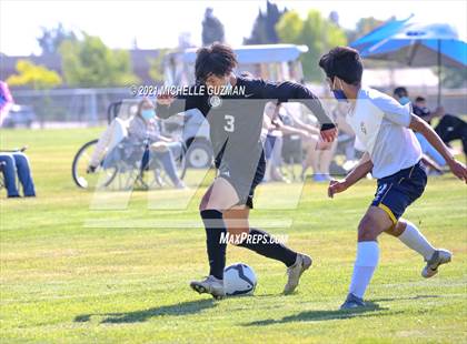 Thumbnail 2 in Gregori @ Enochs photogallery.