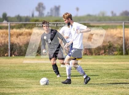 Thumbnail 2 in Gregori @ Enochs photogallery.