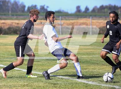 Thumbnail 3 in Gregori @ Enochs photogallery.