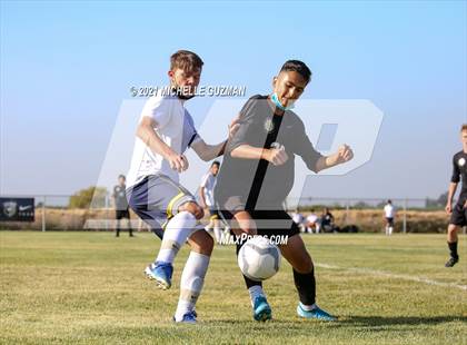 Thumbnail 1 in Gregori @ Enochs photogallery.