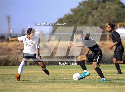 Thumbnail 2 in Gregori @ Enochs photogallery.