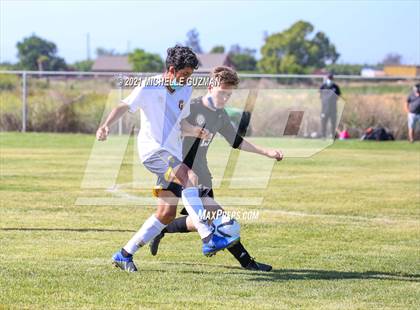 Thumbnail 1 in Gregori @ Enochs photogallery.