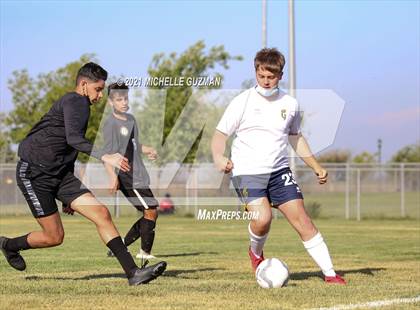 Thumbnail 1 in Gregori @ Enochs photogallery.