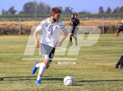 Thumbnail 1 in Gregori @ Enochs photogallery.