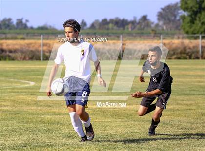 Thumbnail 2 in Gregori @ Enochs photogallery.