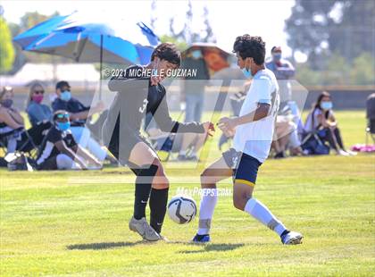 Thumbnail 1 in Gregori @ Enochs photogallery.