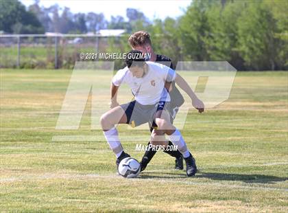 Thumbnail 3 in Gregori @ Enochs photogallery.