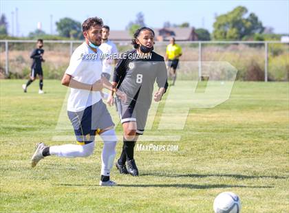 Thumbnail 1 in Gregori @ Enochs photogallery.