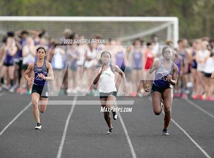 Thumbnail 1 in Porter Ridge Track Meet photogallery.