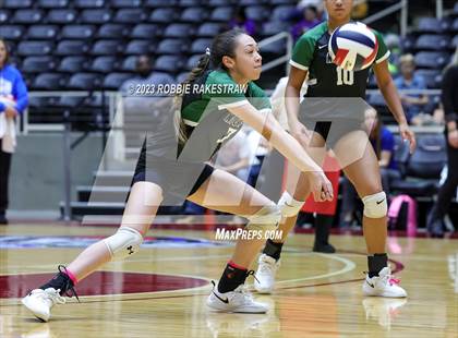 Thumbnail 3 in Blum vs. Neches (UIL 1A Volleyball Semifinal) photogallery.