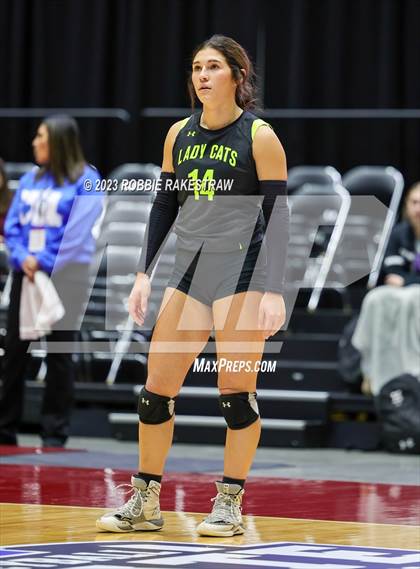 Thumbnail 1 in Blum vs. Neches (UIL 1A Volleyball Semifinal) photogallery.