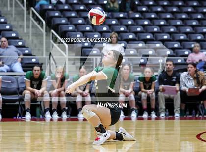 Thumbnail 3 in Blum vs. Neches (UIL 1A Volleyball Semifinal) photogallery.