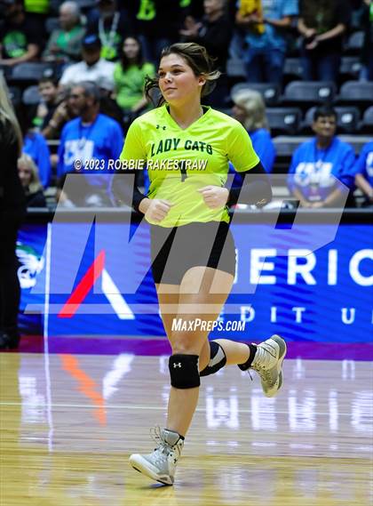 Thumbnail 1 in Blum vs. Neches (UIL 1A Volleyball Semifinal) photogallery.