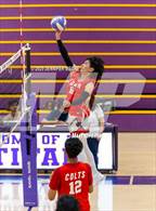 Photo from the gallery "James Logan @ Kennedy"