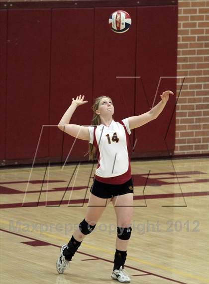 Thumbnail 2 in Cholla @ Salpointe Catholic photogallery.