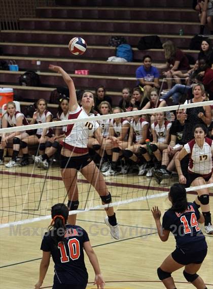 Thumbnail 1 in Cholla @ Salpointe Catholic photogallery.