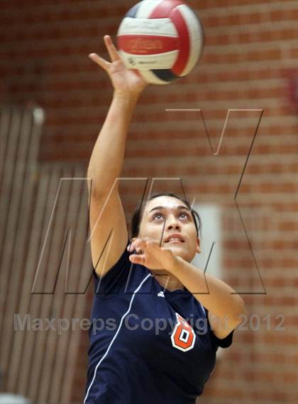Thumbnail 1 in Cholla @ Salpointe Catholic photogallery.