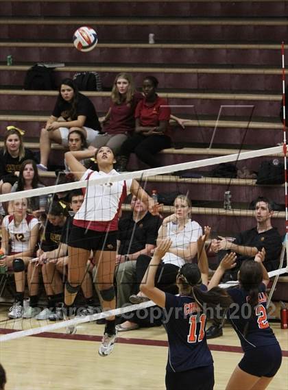 Thumbnail 2 in Cholla @ Salpointe Catholic photogallery.