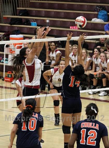Thumbnail 2 in Cholla @ Salpointe Catholic photogallery.