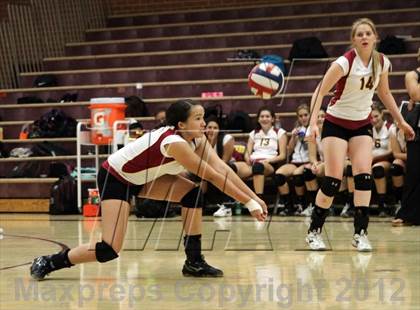 Thumbnail 1 in Cholla @ Salpointe Catholic photogallery.