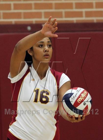Thumbnail 1 in Cholla @ Salpointe Catholic photogallery.