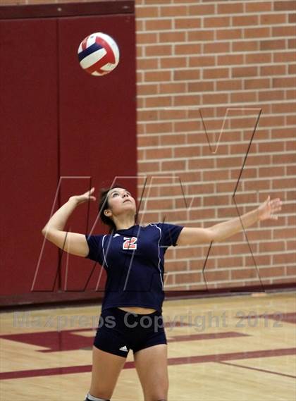 Thumbnail 1 in Cholla @ Salpointe Catholic photogallery.
