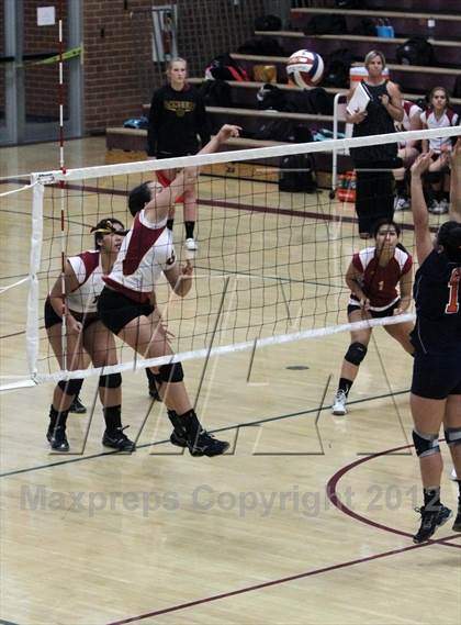 Thumbnail 1 in Cholla @ Salpointe Catholic photogallery.