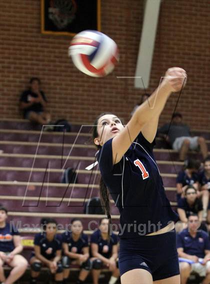 Thumbnail 1 in Cholla @ Salpointe Catholic photogallery.