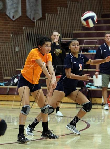 Thumbnail 1 in Cholla @ Salpointe Catholic photogallery.