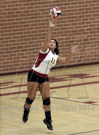 Thumbnail 1 in Cholla @ Salpointe Catholic photogallery.