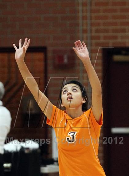 Thumbnail 3 in Cholla @ Salpointe Catholic photogallery.
