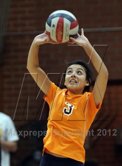 Thumbnail 1 in Cholla @ Salpointe Catholic photogallery.