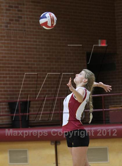 Thumbnail 1 in Cholla @ Salpointe Catholic photogallery.