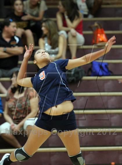 Thumbnail 2 in Cholla @ Salpointe Catholic photogallery.