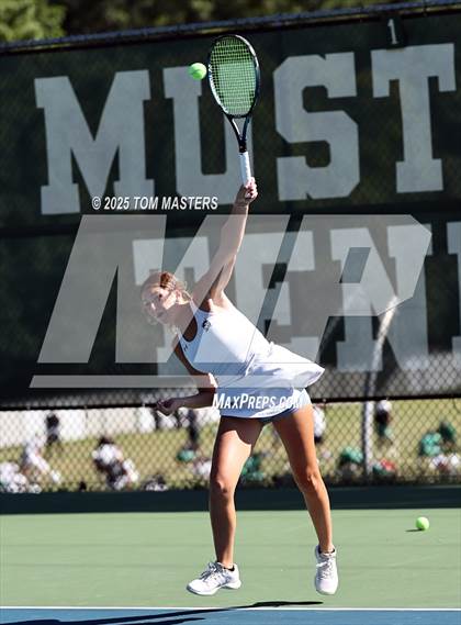 Thumbnail 2 in Hough @ Myers Park photogallery.