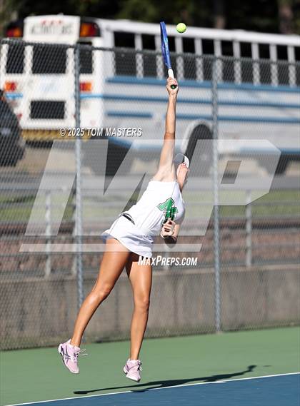 Thumbnail 3 in Hough @ Myers Park photogallery.